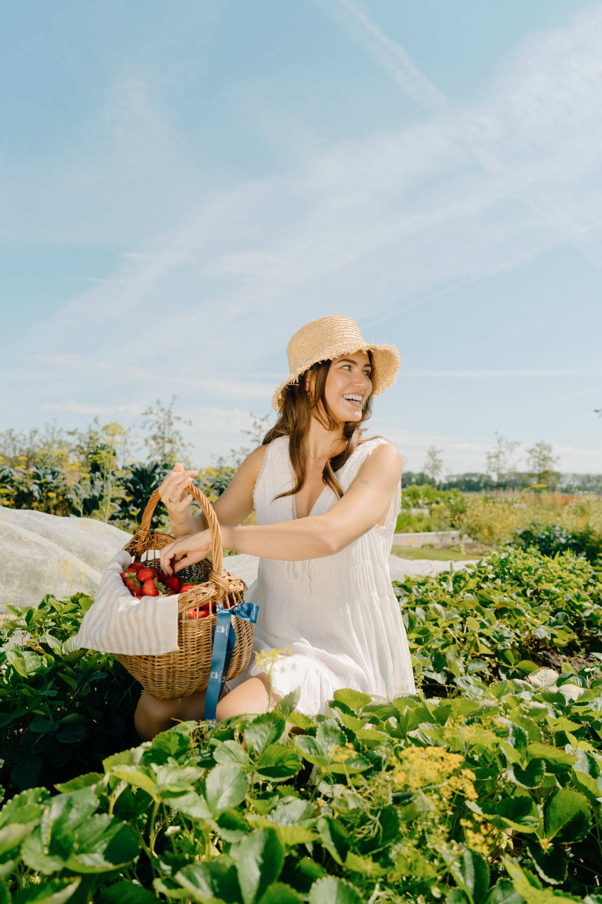 Vrouw plukt aardbeien met een mand in het veld
